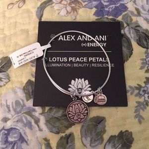 Alex And Ani Bracelet