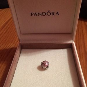 Breast cancer awareness charm