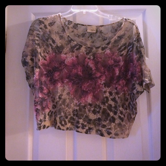 Daytrip leopard crop top - Picture 1 of 1