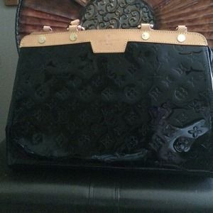 Louis Vuitton purse