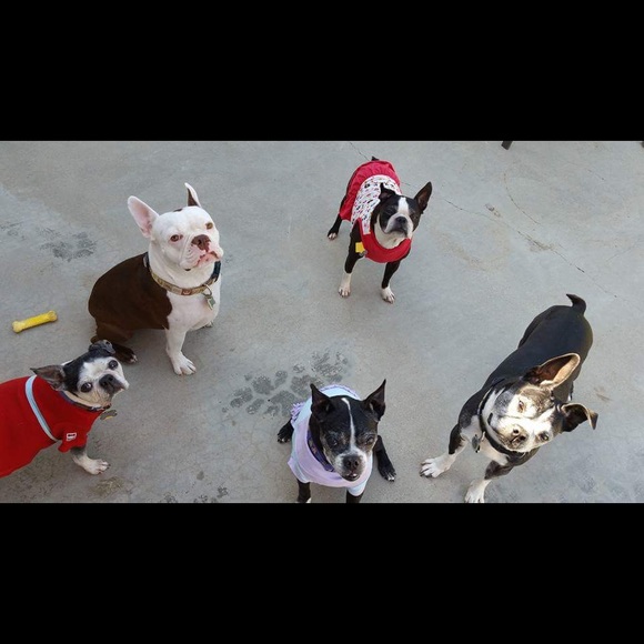 MEET YOUR SELLER - Picture 5 of 11