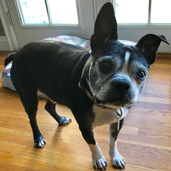 MEET YOUR SELLER - Picture 6 of 11