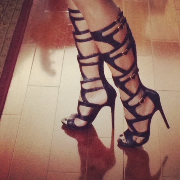 Gladiator  🚫🚫🚫sold🚫🚫🚫