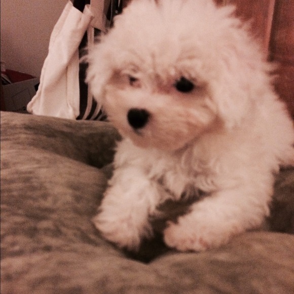 Nothing - Picture 2 of 3