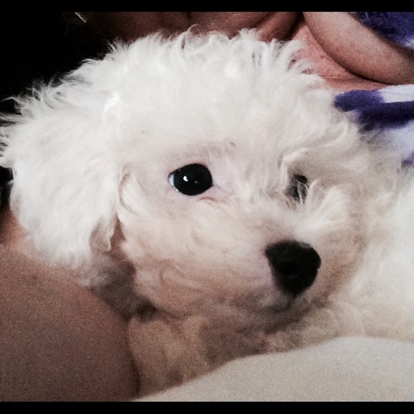 Nothing - Picture 3 of 3