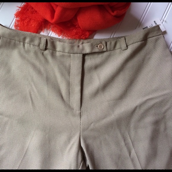 Gorgeous Norton & Co Cafe Slacks - Picture 2 of 3