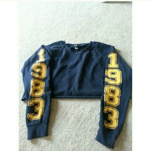 Cropped 1983 Sweater