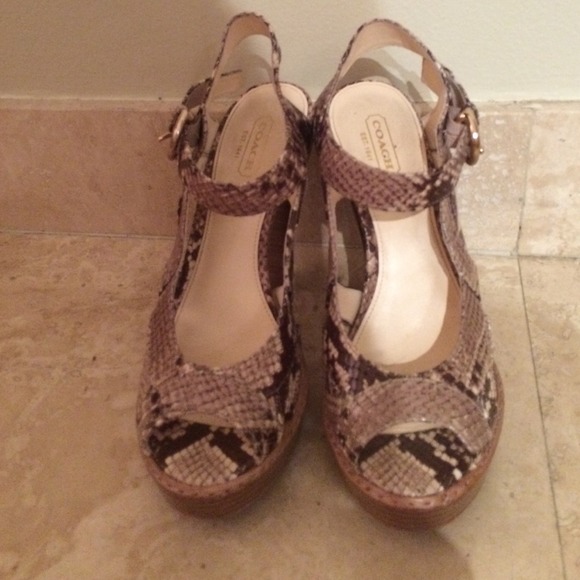 Coach Tamara Printed Python Shoes