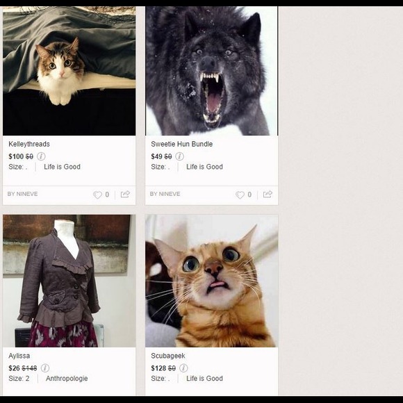 Sweetie hun's bundle is scaring my kitteh!