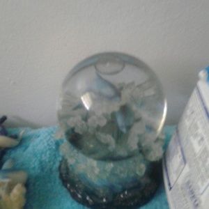Dolphin globe