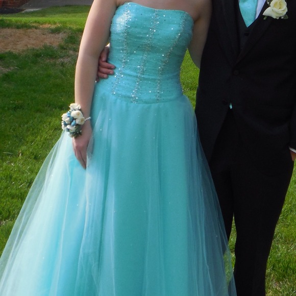 Princess Prom or Pageant Dress - Picture 1 of 3