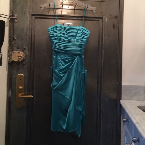 Beautiful Nicole Miller dress!