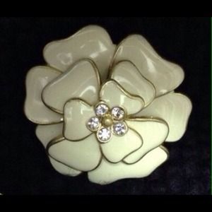 Stella & Dot La Coco broach/charm