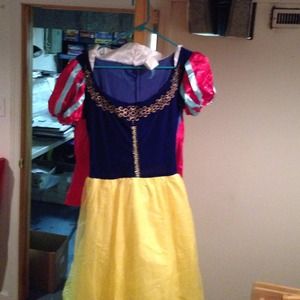 Disney Snow White Halloween costume