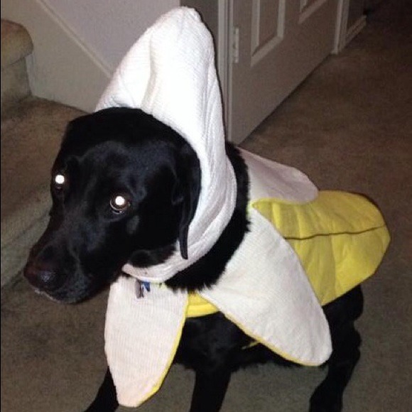 Banana and turtle costume bundle