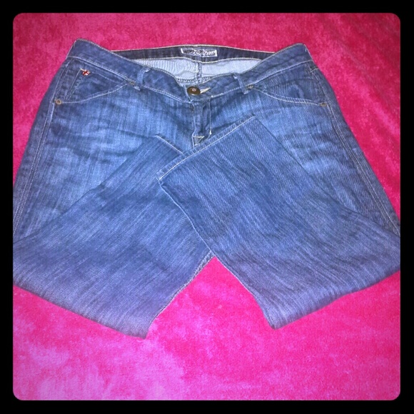 Hudson jeans size 29