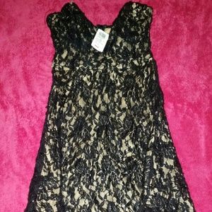 Beautiful brand new Windsor dress nwt