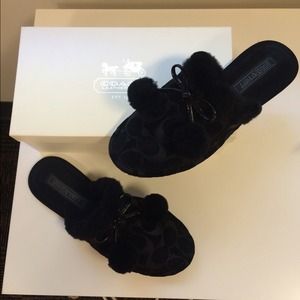 COACH Slippers