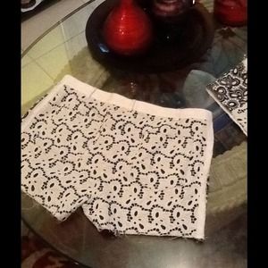 Rebecca Minkoff.  Shorts