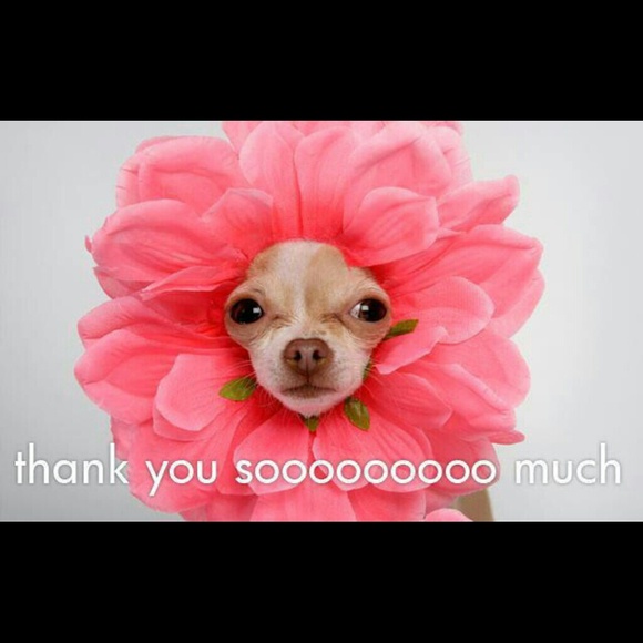 Thanks for the great deals!