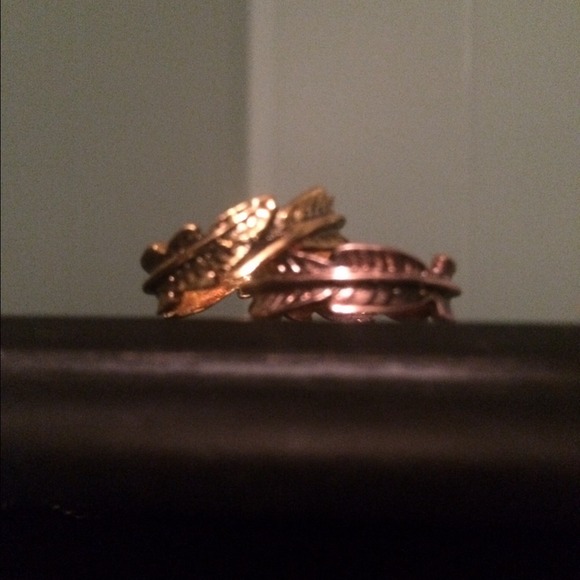 Gold and bronze colored feather rings