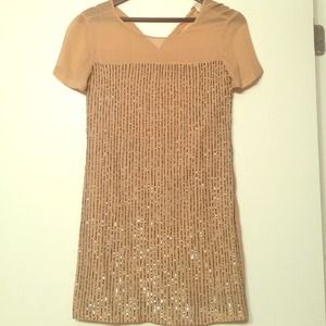 Tunic top/dress with beautiful sequins.