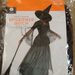 Halloween costume!!!! Spiderweb witch