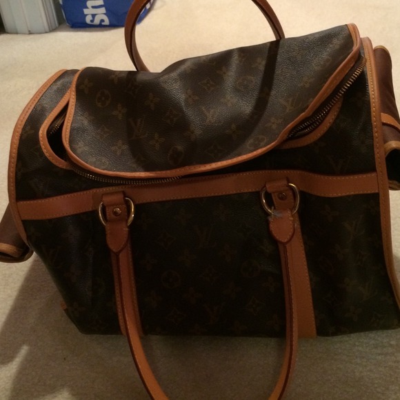 lv dog bag