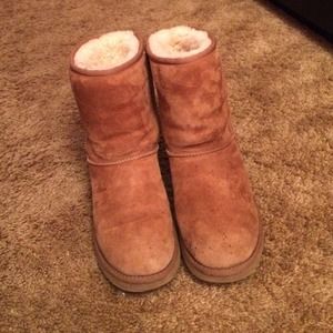 Chestnut uggs