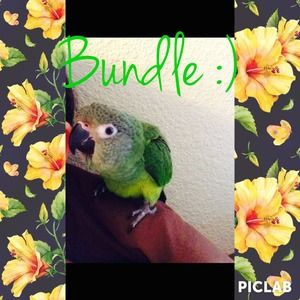 Bundle for Angie