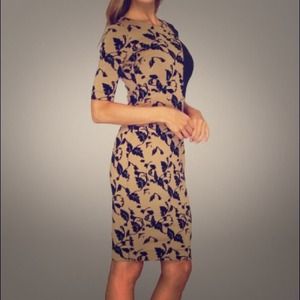 NWT Sold Out French Connection Camel & Blk Dress!