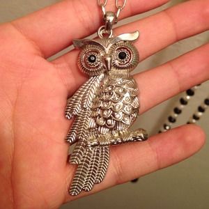 Past chest length necklace