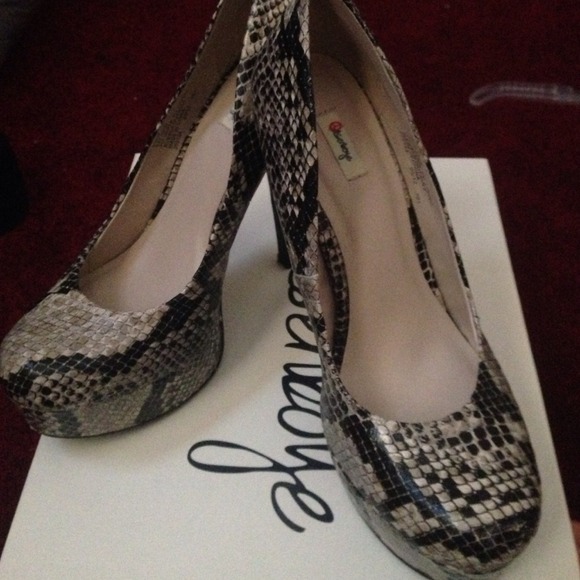 Snake print pumps