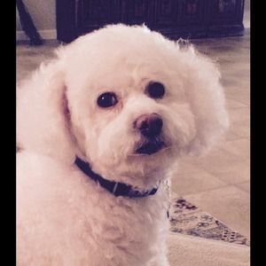 Big Ol' Bundle for Shaunna!