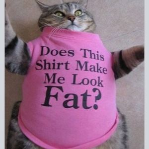 Fat Katz for fun!!!!