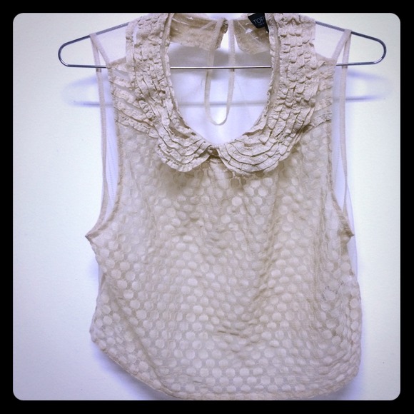 *Flash sale* Sheer cropped top shop shirt