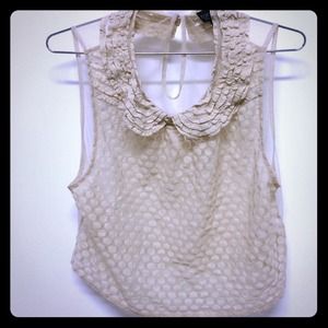 *Flash sale* Sheer cropped top shop shirt