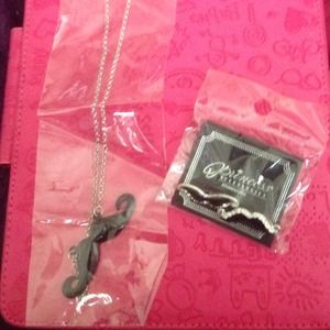 Mustache Earring and necklace set