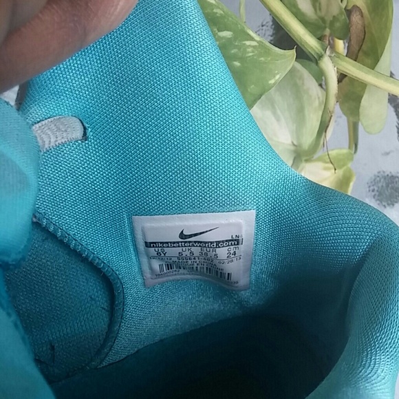 Kd's - Picture 4 of 4