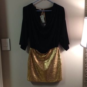 🆕NWT Arden B dress