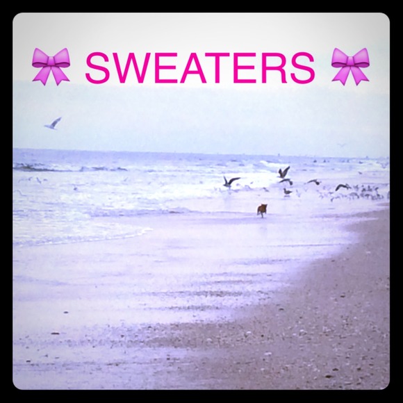 🎀 ALL SWEATERS 🎀 - Picture 1 of 1