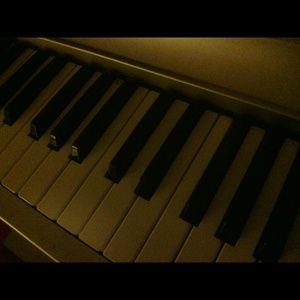 Bundle for @lbrooke4263