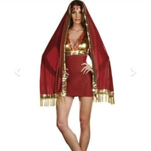 Arabian goddess sexy costume 3 pc