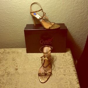 Carlos by Carlos Santana