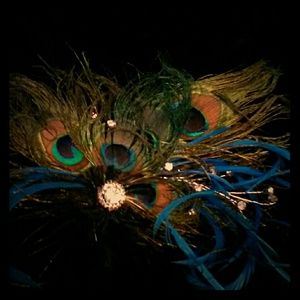 Home made peacock hair clip