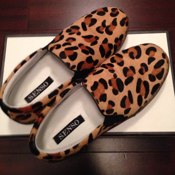 Senso Aggie w/ box