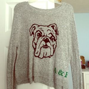 Abercrombie and Fitch Back to School Crop Sweater