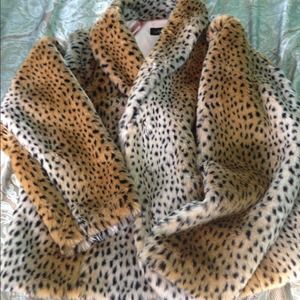 Lane Bryant leopard coat.