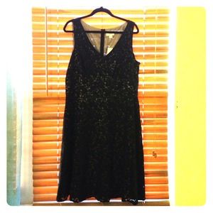 LOFT dress with lace detail