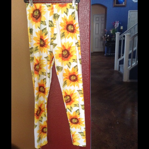 🌻🌻🌻🌻🌻